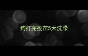 狗打完疫苗5天洗澡