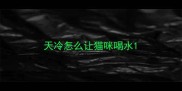 天冷怎么让猫咪喝水