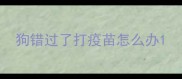 狗错过了打疫苗怎么办