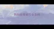 狗狗经常被打会怎样