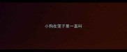 小狗在笼子里一直叫
