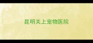 昆明关上宠物医院