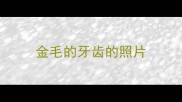 金毛的牙齿的照片