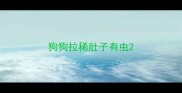 狗狗拉稀肚子有虫