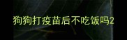 狗狗打疫苗后不吃饭吗