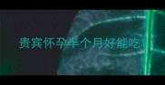 贵宾怀孕半个月好能吃