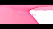 哈士奇能不能吃混沌
