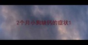 2个月小狗缺钙的症状