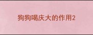 狗狗喝庆大的作用