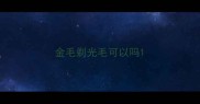 金毛剃光毛可以吗