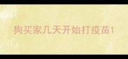 狗买家几天开始打疫苗