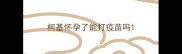 柯基怀孕了能打疫苗吗