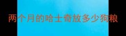 两个月的哈士奇放多少狗粮