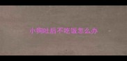 小狗吐后不吃饭怎么办