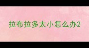 拉布拉多太小怎么办