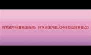 狗狗成年体重预测指南科学方法判断犬种体型及饲养要点