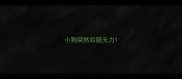 小狗突然后腿无力