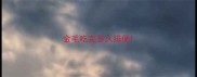 金毛吃完多久排便