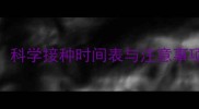 幼犬必看狗狗疫苗全流程科学接种时间表与注意事项附疫苗种类及补种指南