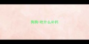 狗狗-吃什么补钙