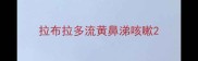 拉布拉多流黄鼻涕咳嗽
