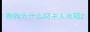 狗狗为什么叼主人衣服