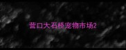 营口大石桥宠物市场