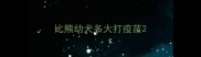 比熊幼犬多大打疫苗