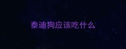 泰迪狗应该吃什么