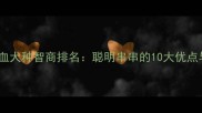 边牧金毛混血犬种智商排名聪明串串的10大优点与饲养指南