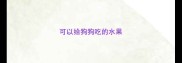 可以给狗狗吃的水果