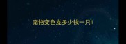 宠物变色龙多少钱一只