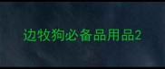 边牧狗必备品用品