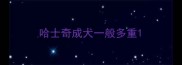 哈士奇成犬一般多重