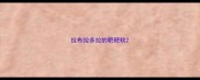 拉布拉多拉的粑粑软