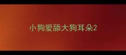 小狗爱舔大狗耳朵