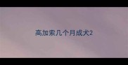 高加索几个月成犬