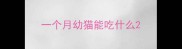 一个月幼猫能吃什么