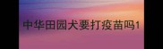 中华田园犬要打疫苗吗
