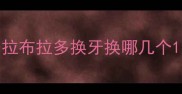 拉布拉多换牙换哪几个