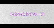 小拉布拉多价格一只