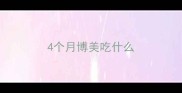 4个月博美吃什么