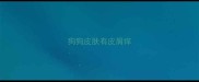 狗狗皮肤有皮屑痒