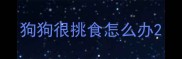狗狗很挑食怎么办