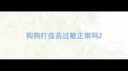 狗狗打疫苗过敏正常吗