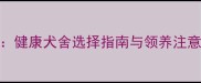西安买宠物狗全攻略健康犬舍选择指南与领养注意事项附最新推荐