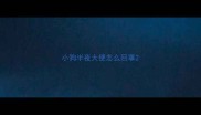 小狗半夜大便怎么回事