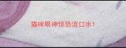 猫咪眼神惊恐流口水