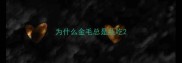 为什么金毛总是乱吃