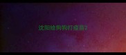沈阳给狗狗打疫苗